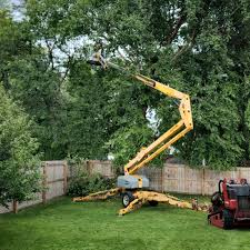 Best Hedge Trimming  in Central Gardens, TX